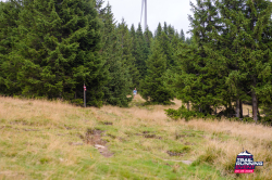 2025-08-23 KTRE 2025_091014_DSC_8427